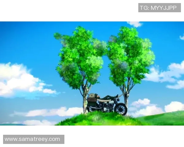 探索心灵的旅程：太阳、罚款与飞翔的哲理